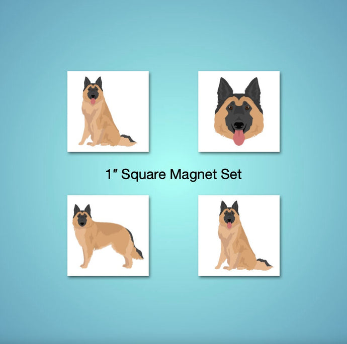 Belgian Tervuren 1 inch magnet set