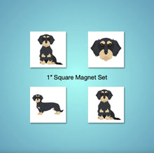 Load image into Gallery viewer, Dachshund (wirecoat) 1 inch magnet set
