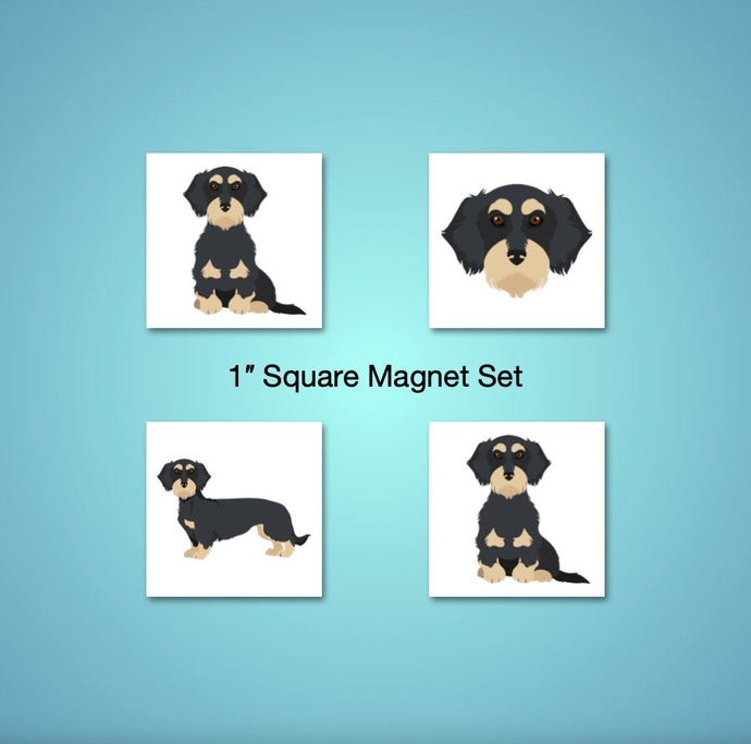 Dachshund (wirecoat) 1 inch magnet set