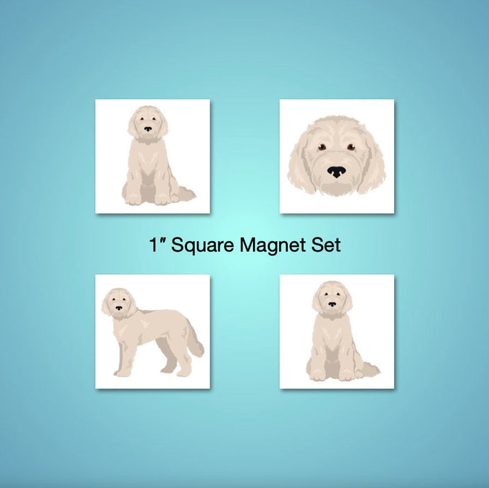 Goldendoodle (Golden Retriever/Poodle mix) 1 inch magnet set