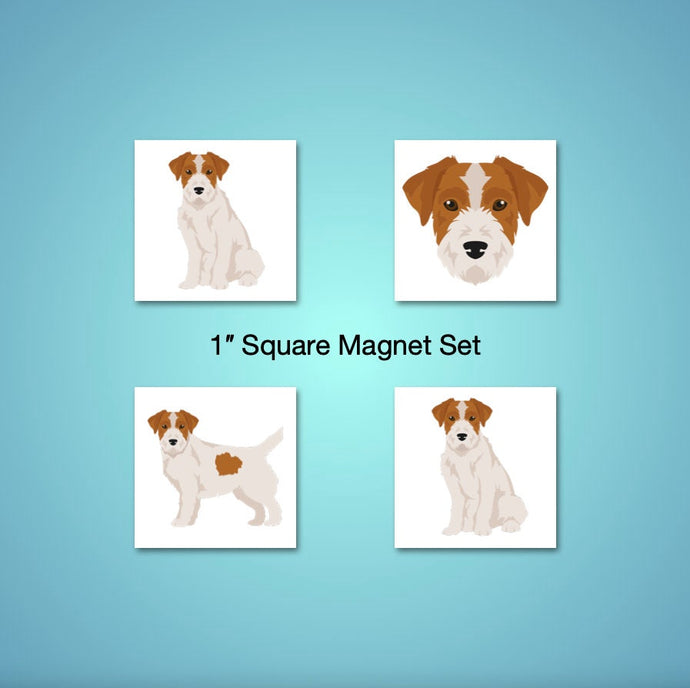 Jack Russell Terrier (wirecoat) 1 inch magnet set