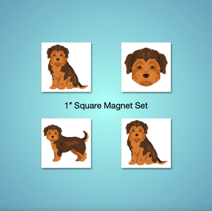 Morkie (Maltese/Yorkshire Terrier mix) 1 inch magnet set