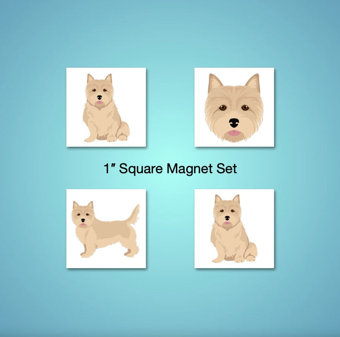 Norwich Terrier 1 inch magnet set