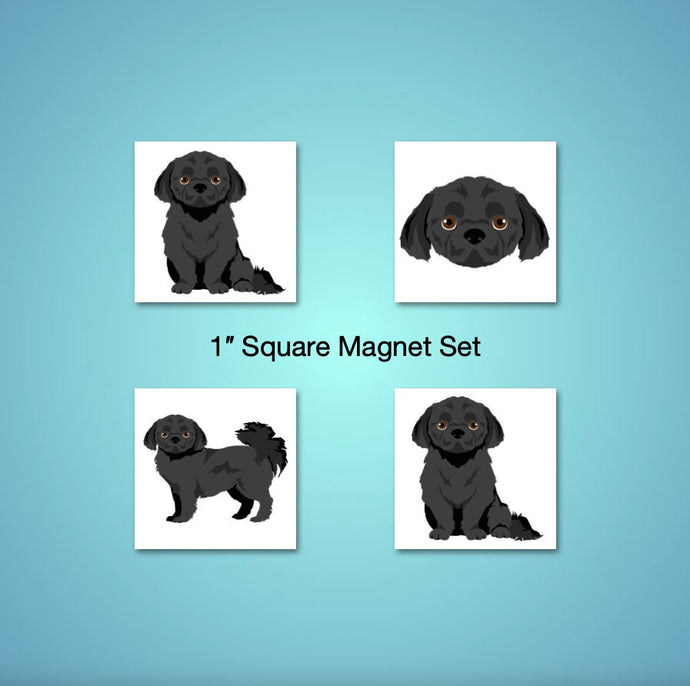 Peekapoo (Pekingese/Poodle mix) 1 inch magnet set