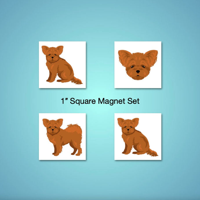 Pomapoo (Pomeranian/Poodle mix) 1 inch magnet set