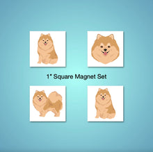 Load image into Gallery viewer, Pomeranian 1 inch magnet set
