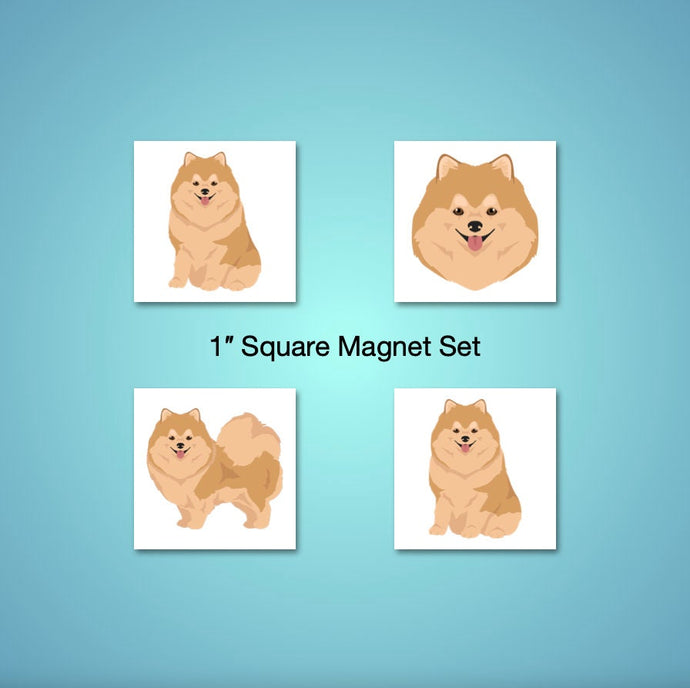 Pomeranian 1 inch magnet set