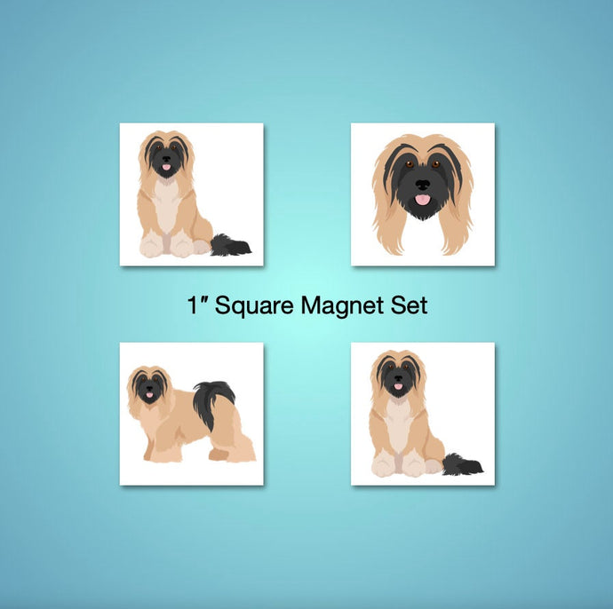 Tibetan Terrier 1 inch magnet set