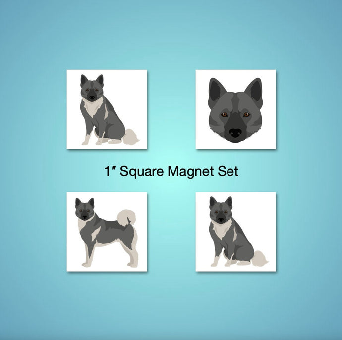 Norwegian Elkhound 1 inch magnet set