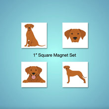 Load image into Gallery viewer, Rhodesian Ridgeback 1 inch magnet set
