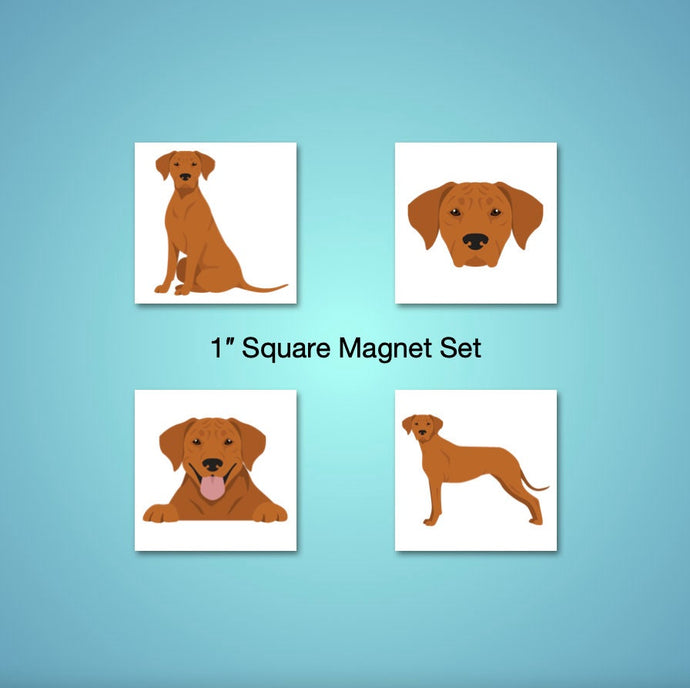 Rhodesian Ridgeback 1 inch magnet set