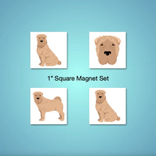 Load image into Gallery viewer, Shar Pei 1 inch magnet set
