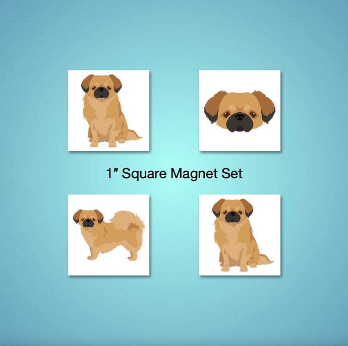 Tibetan Spaniel 1 inch magnet set