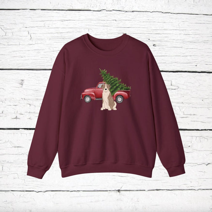 American Staffordshire Terrier (natural ears) Red Truck Sweatshirt