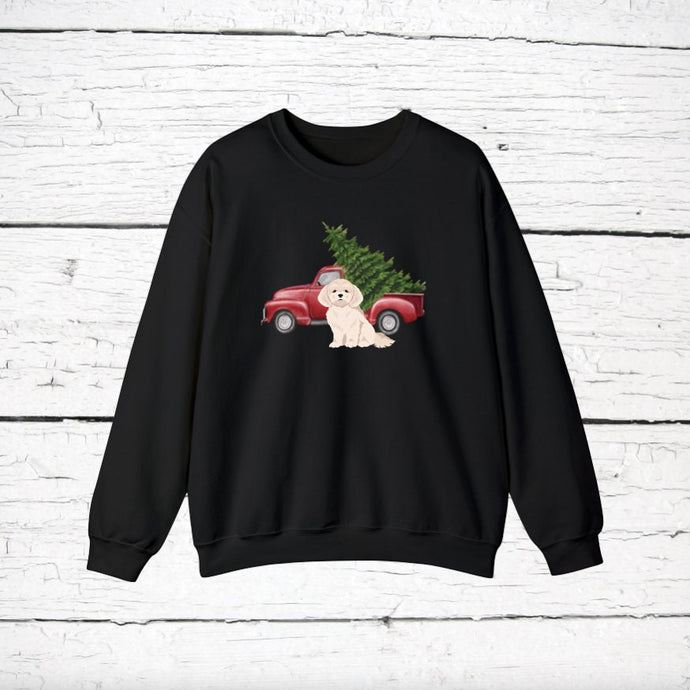 Bichpoo (Bichon Frise/Poodle mix) Red Truck Sweatshirt