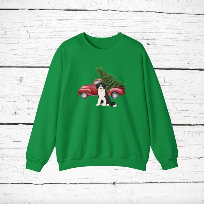 Bordoodle (Border Collie/Poodle mix) Red Truck Sweatshirt