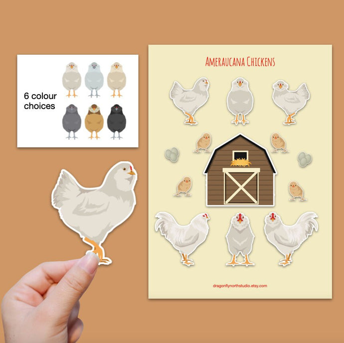 Ameraucana chicken sticker set - chicken sticker sheets - chicken breed stickers