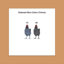 Load image into Gallery viewer, Delaware Blue chicken sticker set - chicken sticker sheets - chicken breed stickers
