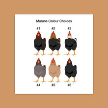 Load image into Gallery viewer, Marans chicken sticker set - chicken sticker sheets - chicken breed stickers
