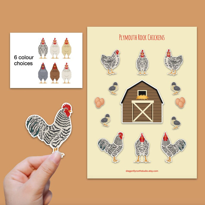 Plymouth Rock chicken sticker set - chicken sticker sheets - chicken breed stickers