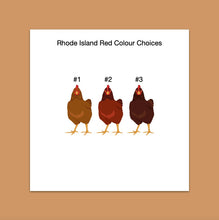 Load image into Gallery viewer, Rhode Island Red chicken sticker set - chicken sticker sheets - chicken breed stickers
