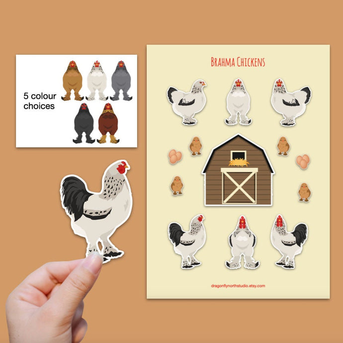 Brahma chicken sticker set - chicken sticker sheets - chicken breed stickers