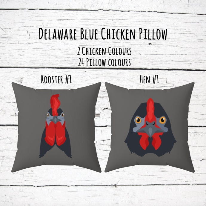 Delaware Blue chicken 14