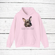 Load image into Gallery viewer, American Hairless Terrier &quot;Ready for a Nap&quot; Hooded Sweatshirt
