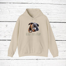 Load image into Gallery viewer, American Pit Bull Terrier &quot;Ready for a Nap&quot; Hooded Sweatshirt
