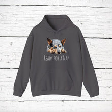 Load image into Gallery viewer, Australian Cattle Dog &quot;Ready for a Nap&quot; Hooded Sweatshirt
