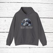 Load image into Gallery viewer, Blue Lacy &quot;Ready for a Nap&quot; Hooded Sweatshirt
