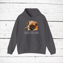 Load image into Gallery viewer, Brussels Griffon &quot;Ready for a Nap&quot; Hooded Sweatshirt
