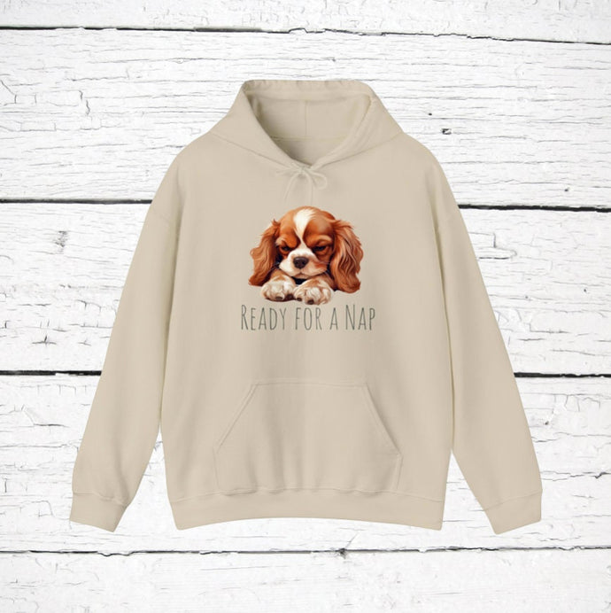 Cavalier King Charles Spaniel 