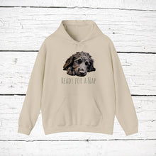 Load image into Gallery viewer, Curly Coated Retriever &quot;Ready for a Nap&quot; Hooded Sweatshirt
