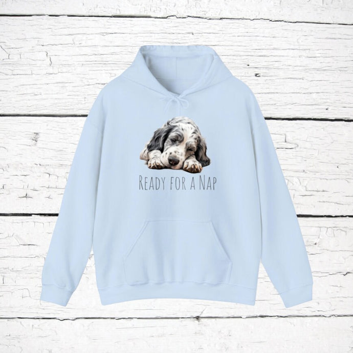 English Setter 