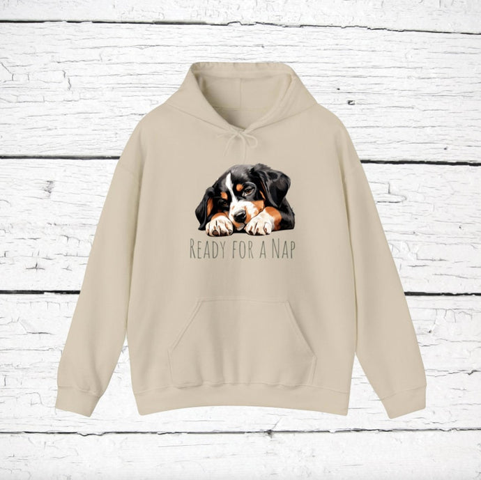 Entlebucher Mountain Dog 