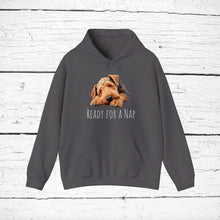 Load image into Gallery viewer, Airedale Terrier &quot;Ready for a Nap&quot; Hooded Sweatshirt
