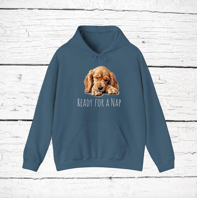 American Cocker Spaniel 