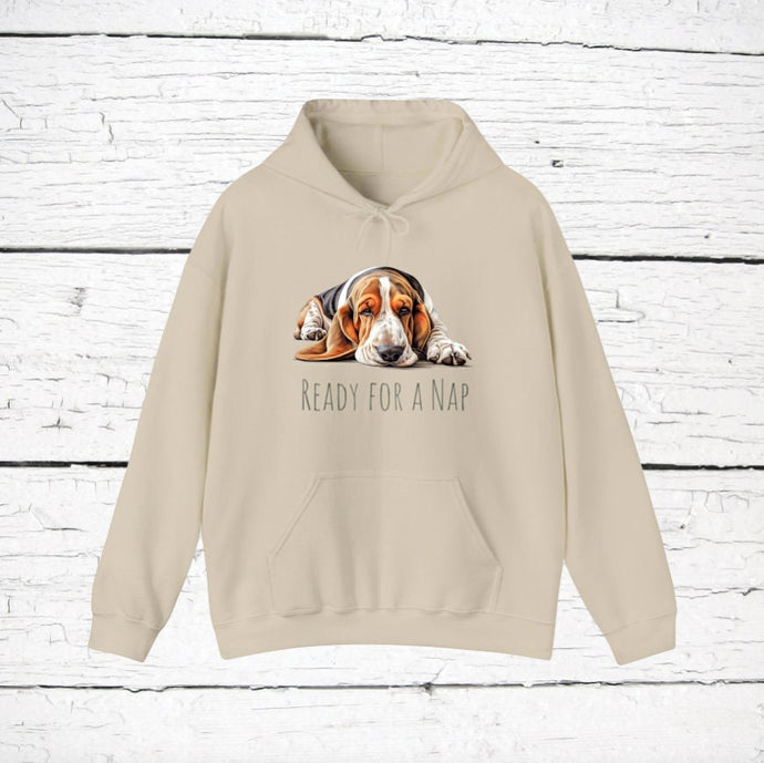 Basset Hound 