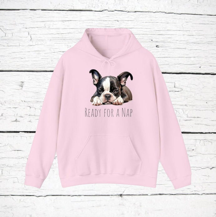 Boston Terrier 