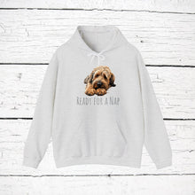 Load image into Gallery viewer, Briard &quot;Ready for a Nap&quot; Hooded Sweatshirt
