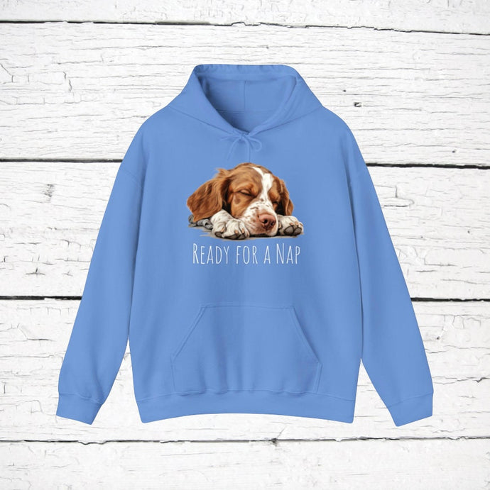 Brittany Spaniel 