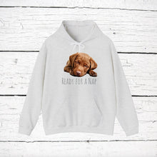 Load image into Gallery viewer, Chesapeake Bay Retriever &quot;Ready for a Nap&quot; Hooded Sweatshirt
