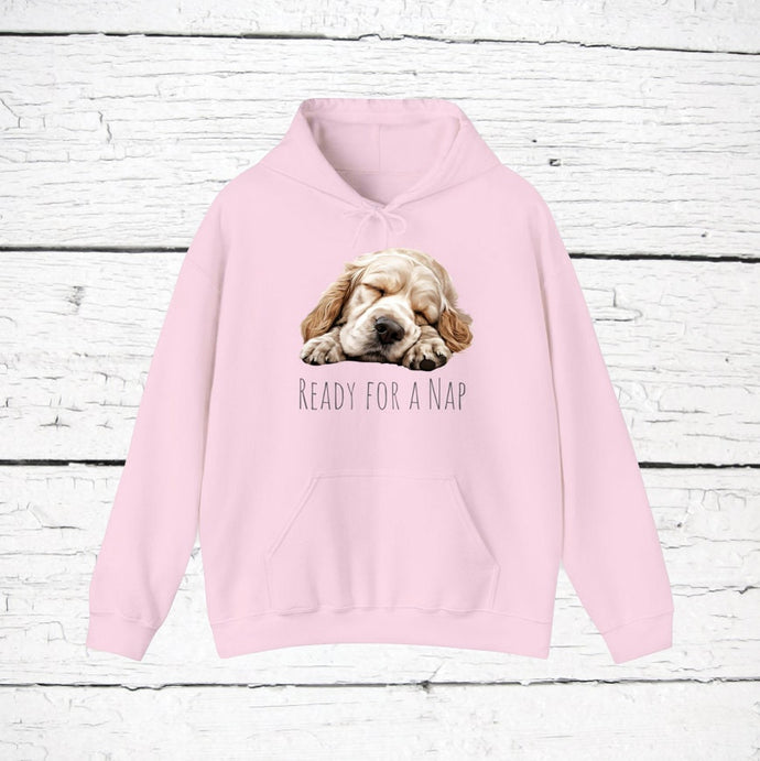 Clumber Spaniel 