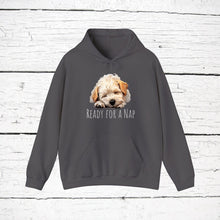 Load image into Gallery viewer, Dandie Dinmont Terrier &quot;Ready for a Nap&quot; Hooded Sweatshirt
