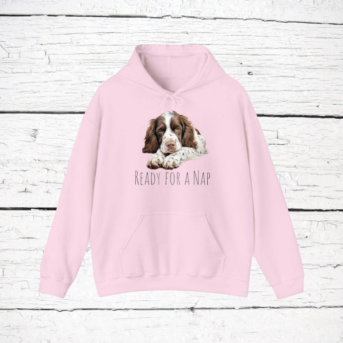 English Springer Spaniel 