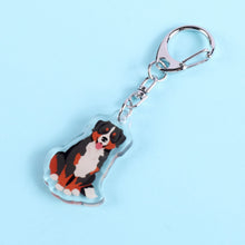 Load image into Gallery viewer, Bernese Mountain Dog acrylic zipper pull
