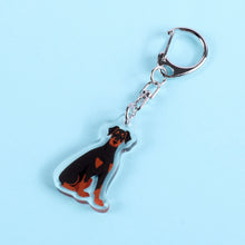 Load image into Gallery viewer, Doberman Pinscher (natural ears) acrylic zipper pull
