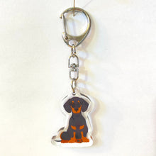 Load image into Gallery viewer, Dachshund acrylic zipper pull
