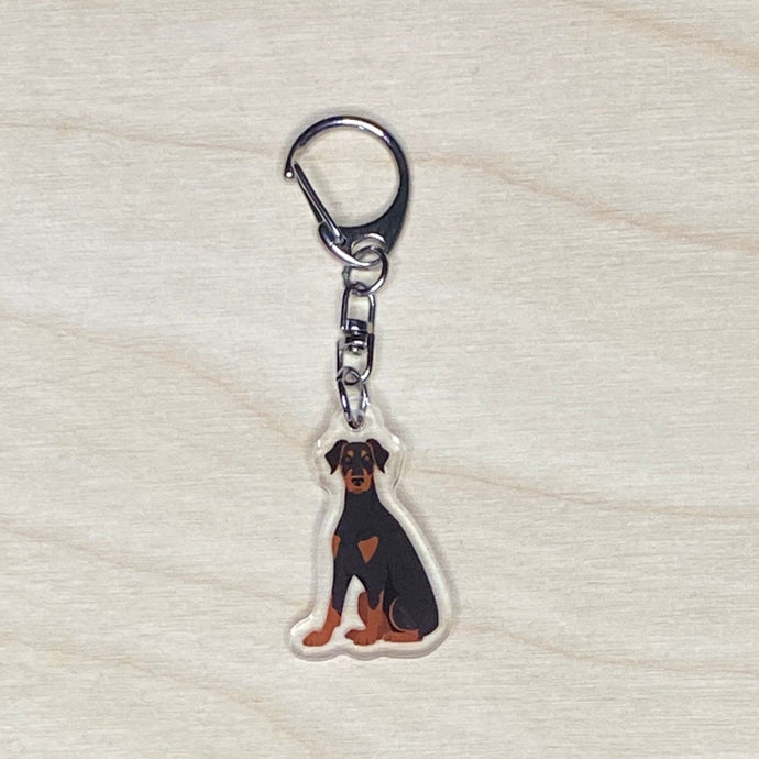 Doberman Pinscher (natural ears) acrylic zipper pull